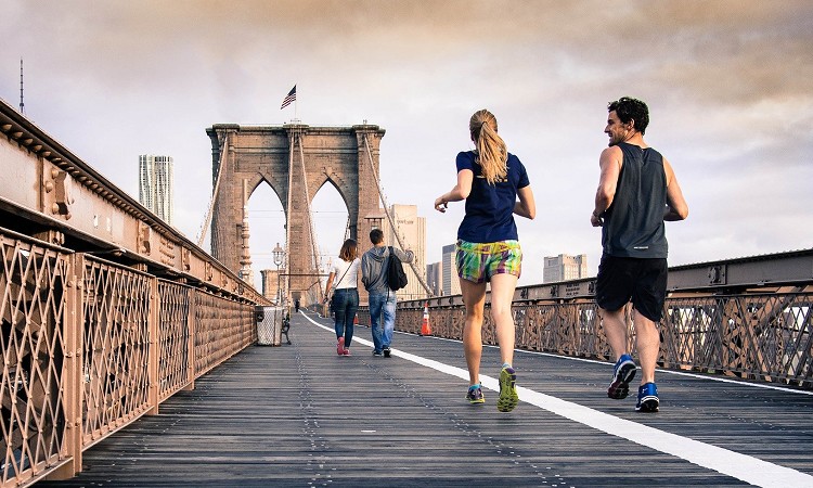 j{fBCN@Ƃ́HHg[jO@ЉI