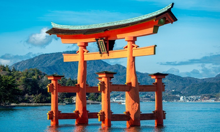 ^シp[X|bǵH2020N̂߂ЉI