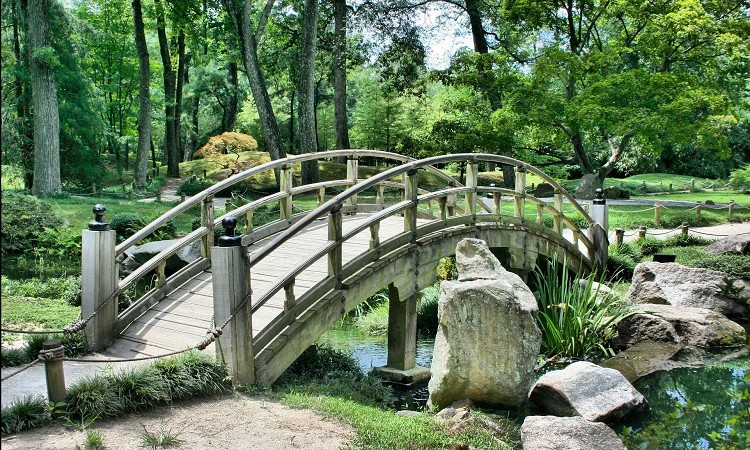 vwŊyނȂǂH߂̍όn5II