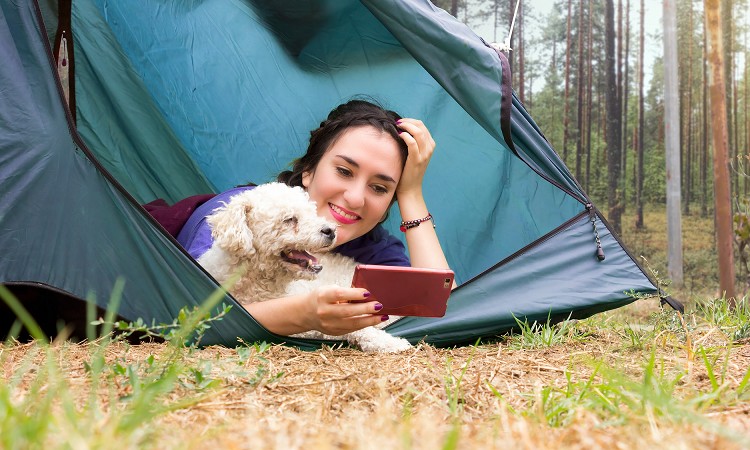 s̃[gf[gł̃Jbv̉߂Љ