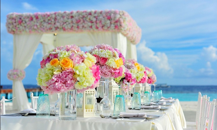 r[`][gŌ悤I߃X|bgЉ