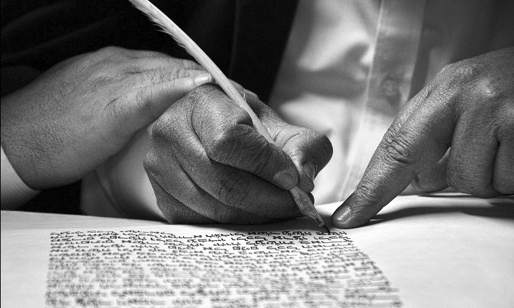 莆ׂ͉HuVYVwv̊ӂ̎莆̏