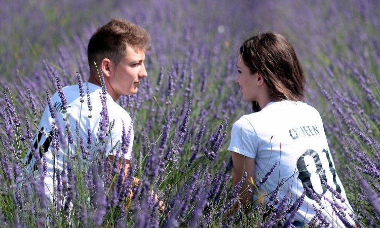 2ڂ̃f[g͂ǂׂHCt邱ƂAv[`@܂Ƃ