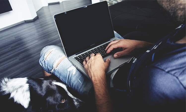 VjAinNjɂ߂̍TCǵHIԃ|CgOЉ