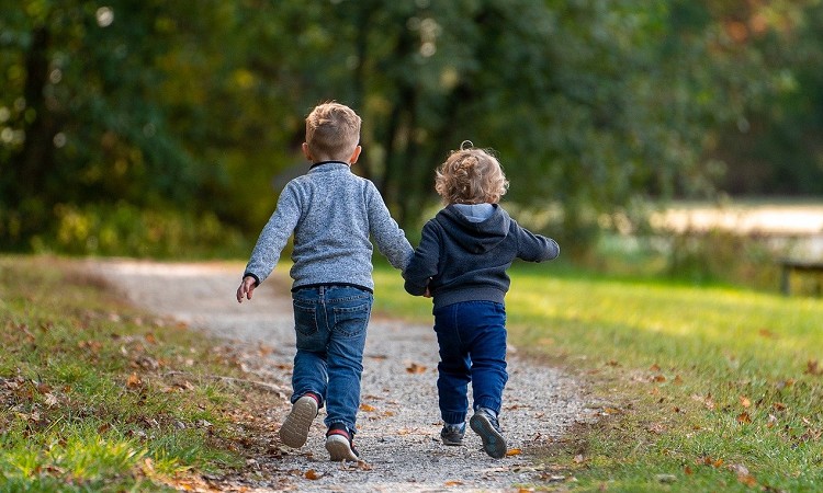 nNčŎq̋Cm肽I{^E΂̂ꂼ̗R