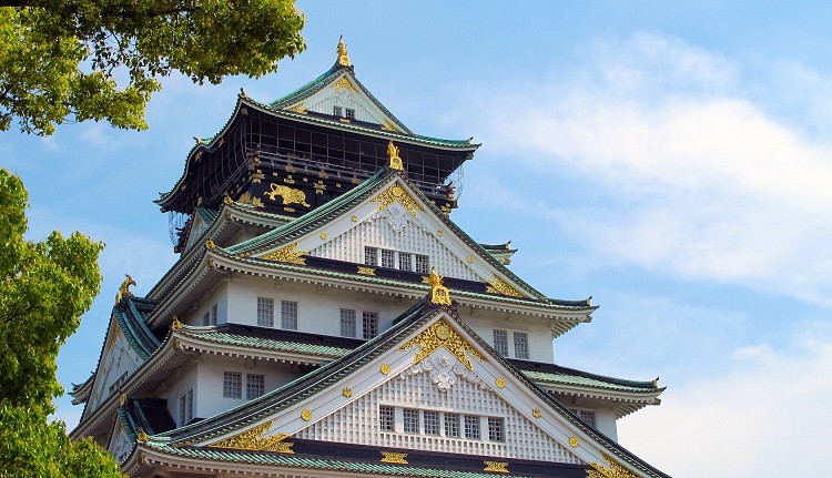 y͋C3IzRiЂł߂̑f[gX|bg3I