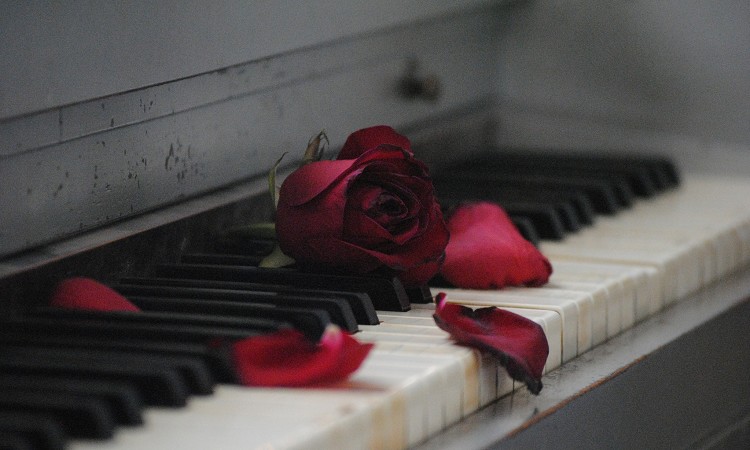 ł́ufv́HӃ|CgNGP[XЉ