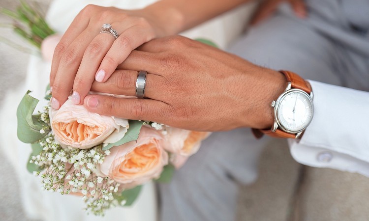 č𐬌ɂ́HfGȃp[gi[ƌ΂邽߂̍@