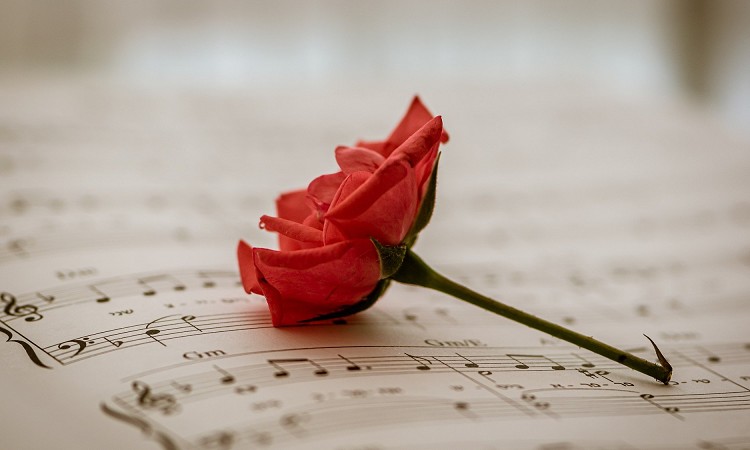 \O5II߂̏{[JȂƒj{[JȂЉ