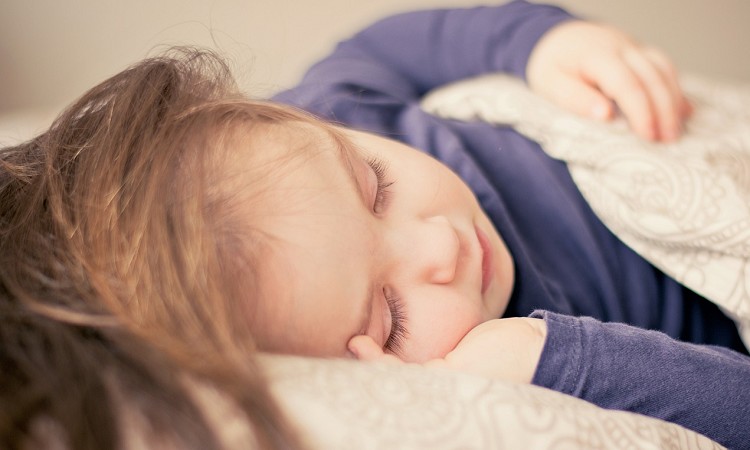 AĂ̍čɖĂ鏗AǂׂHȂ߂3̃|CgƂ́H