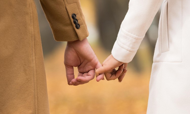 ۑ̖{Cx͂ǂꂭ炢Hɂ߂@Ƃ