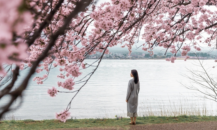 �t��ɗ��l���~�����Ȃ�̂͂Ȃ��H�S���E�����E�Љ�I���R�����