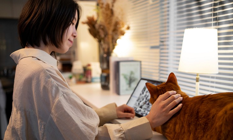 �y�b�g�����R�ł��܂������Ȃ��H�����ƍ����ł���Ⴄ�l�̋��ʓ_